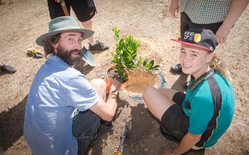 Townsville tree planting initiative