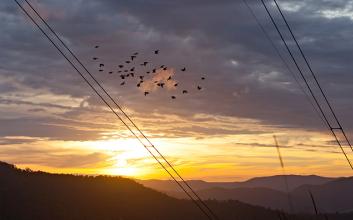 Powerlink network delivers during heatwave