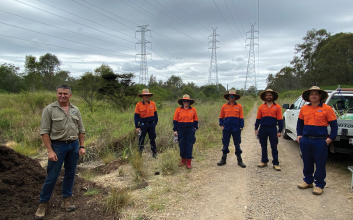 Powerlink and B4C volunteers at community planting event