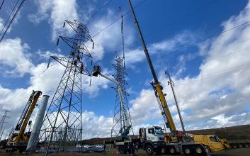 Tower replacement trial at Rocklea Tower Farm
