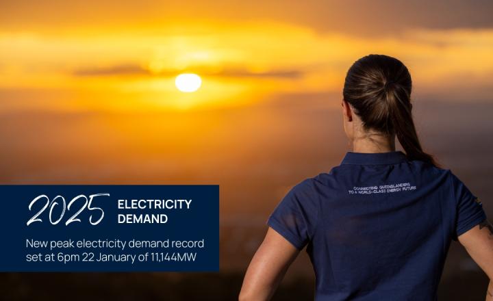 Powerlink employee faces into the sunset