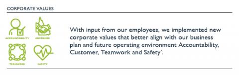 Corporate values icon